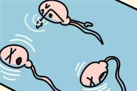 备孕期受孕成功的四个前兆