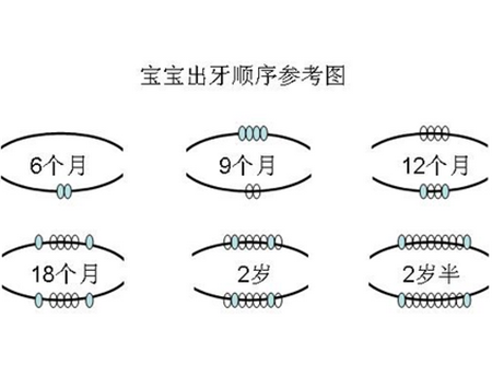 宝宝长牙的顺序​ 宝宝长牙需要多长时间